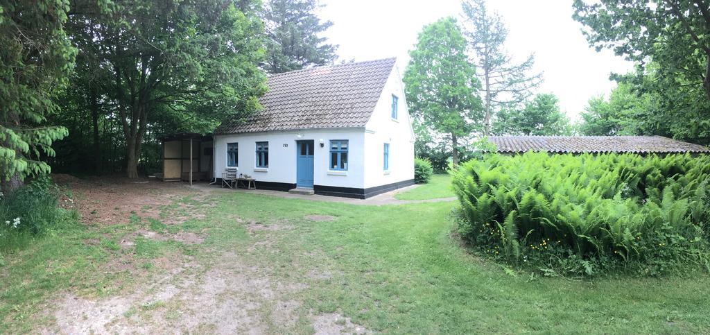 Skovhuset Villa Uggerby ภายนอก รูปภาพ