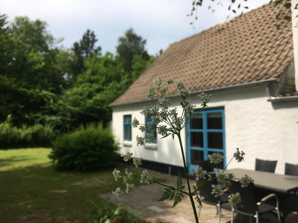 Skovhuset Villa Uggerby ภายนอก รูปภาพ